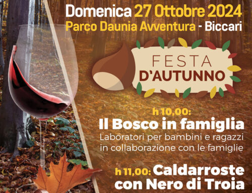 Il Bosco in famiglia – 𝗟’𝗮𝘂𝘁𝘂𝗻𝗻𝗼, 𝗶𝗹 𝗕𝗼𝘀𝗰𝗼 𝗲 𝗹𝗲 𝗰𝗮𝗹𝗱𝗮𝗿𝗿𝗼𝘀𝘁𝗲 𝗰𝗮𝗹𝗱𝗲…